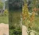 Mysterious Monolith Spotted In Ahmedabad Park