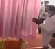 kcr lays foundation stone to it park