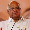 They will not rest until the ruling party is annihilated says Sharad Pawar