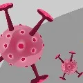 43082 new COVID19 infections