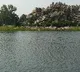 Telangana writes letter to krishna river board on AP