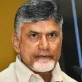 Chandrababu condemns police action on dalit farmer
