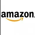 Amazon set to take temporary employs to enhance business