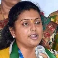 Despite all this Nimmagadda has not yet come to his senses says Roja