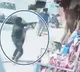 2 Cops Shot Dead By Terrorists At Srinagar Tea Stall