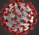 Corona active cases number declines in AP