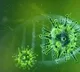 Thousands of corona variants in India as per CCMB study