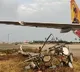 Airindi plane from Doha hits pole in Gannavaram airport