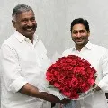 AP CM Jagan appreciates minister Peddireddy for Panchayat polls results