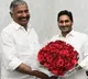 AP CM Jagan appreciates minister Peddireddy for Panchayat polls results