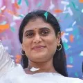 Rajagopal appointed Sharmila Program Coordinator