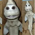 Human face shark in Indonesia