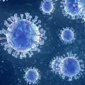 Another Two Variants Discovered in India one in Telangana