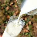 milk rates to be hiked