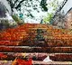 Devotee dies of heart attack in Alipiri