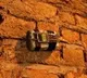 Sticky Bombs appears in Kashmir