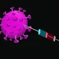 25 lakh people register their names for corona vaccine