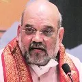 Amit Shah Told AIADMK that Sasikala Key to win