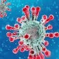 India reports the highest single day spike of 13586 new COVID19 cases