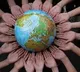 A billion years from now Earth may run out of oxygen says study
