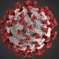 Once again hundred plus corona cases identifies in AP