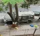 Owner of vehicle parked with explosives near Mukhesh Ambanis residence found dead