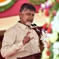 Chandrababu municipal election campaign in Visakha south