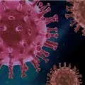 AP Corona Virus Cases Update
