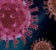 AP Corona Virus Cases Update