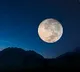 Most Applications from India for Moon Trip of Japan Billioneer