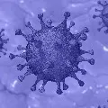 India reports 18599 new COVID19 cases