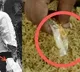 Independent candidate caught while giving gold ornaments to voters