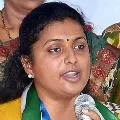Few YSRCP leaders are backstabbing the party says Roja