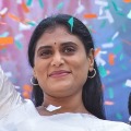 YS Sharmila decides to form all committees 