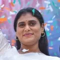 YS Sharmila going to Pulivendula