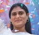YS Sharmila going to Pulivendula