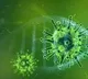 Antibodies effect less on corona variants as per new study