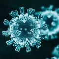 AP Corona Update