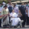 Mamata Banarjee says wounded tiger becomes very dangerous