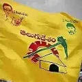 TDP got 44 percent votes in municipal elections says Srinivasulu Reddy