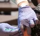 No evidence for Blood clot due to corona vaccine