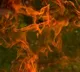 fire accident at panjagutta