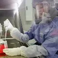 superbug can lead to next pandemic
