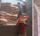 Cattle feed for mid day meal