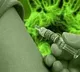No animal related products were used in astrazeneca vaccine clears company