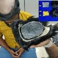 Passengers arrested at Chennai airport for smuggling gold under their wigs