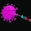 Indian Export 6 crore corona vaccine dose to 76 countries