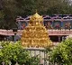 Annadanam stopped in various temples in AP