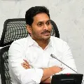 YSRCP govt sent 3 names for next SEC selection