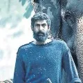 Ranas Hathi Meri Sathi postponed
